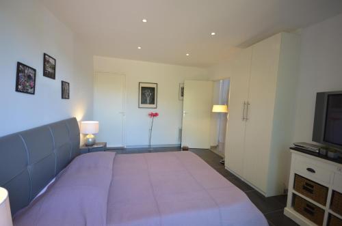 Maison porto vecchio - lecci - image 9