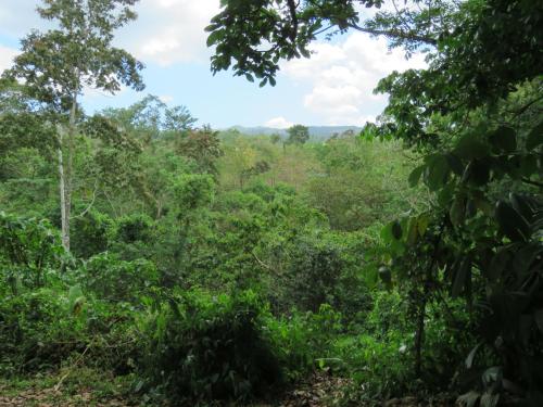 Vocaré Finca Agroecológica