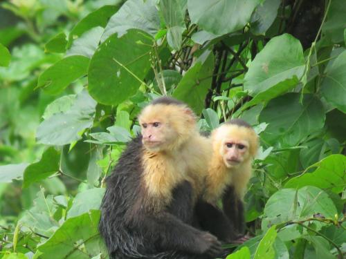 Vocaré Finca Agroecológica