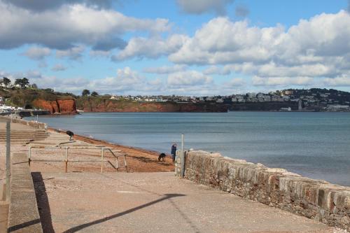 Bayside - image 10