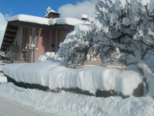 Le Cordonant - image 7