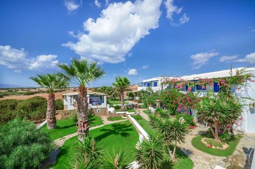  Skarmoutsos Studios, Pension in Aliko Beach bei Áyios Yeóryios