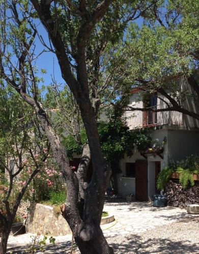 Maison Campredon gîte à louer Trilla