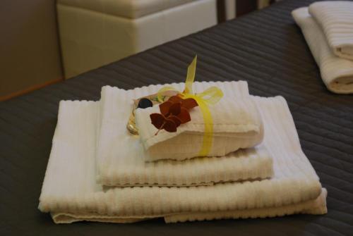 Costantino Primo Holiday - Roma St.Pietro, Roma (foto 5)