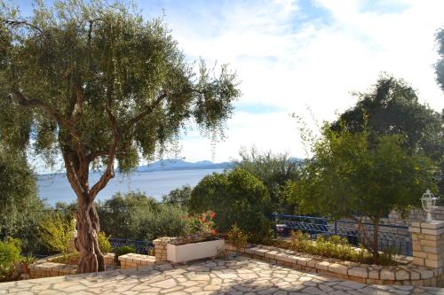 Barbati View Luxury Apartments - main image