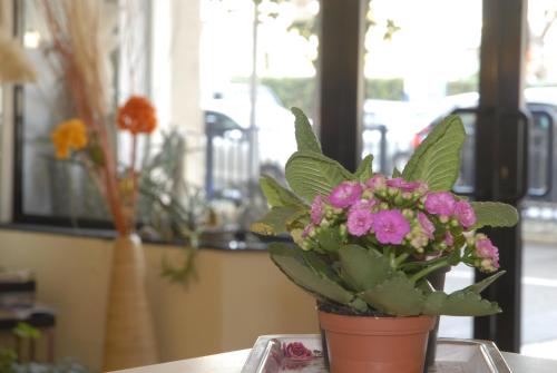 Hotel Provenza 3