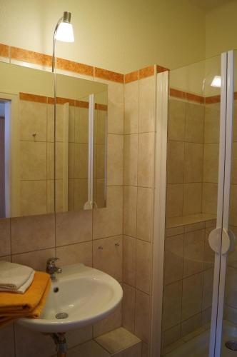 Pension Wegerich - image 13