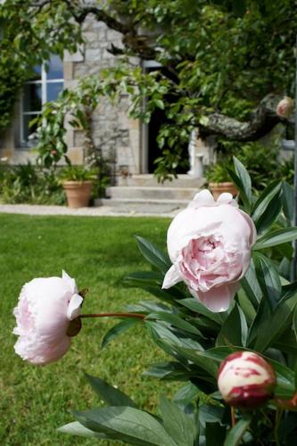 La Maison Les Mimosas