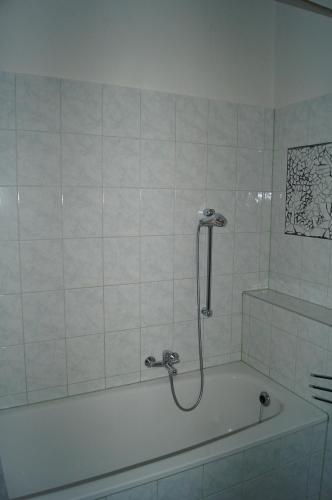 Pension Wegerich - image 11