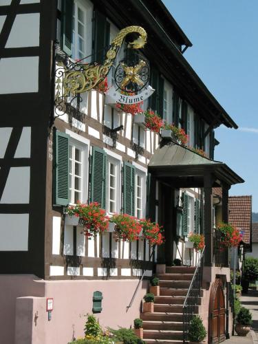 Gasthof Blume - Accommodation - Offenburg