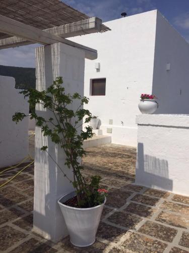 Masseria S.Oronzo