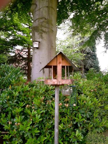 Cornerstones Guest House - image 11