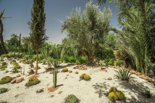 Villa YENMOZ en exclusivité avec piscine privée dans la Palmeraie - image 2