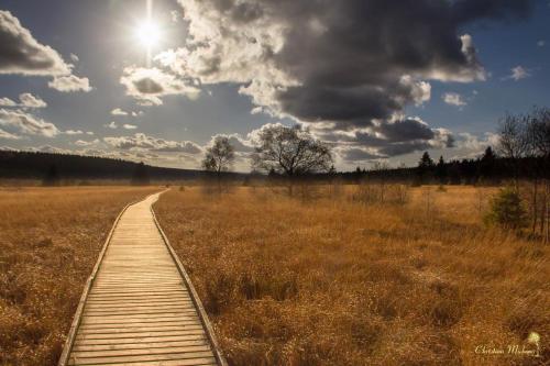 Domaine Des Hautes Fagnes - image 6
