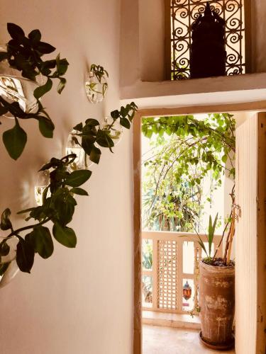 Riad 144