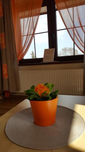 Villa Sole - image 12