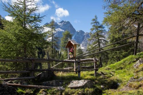 Haus Hochzeigerblick - image 7
