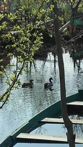 Apartment Helena Airport - image 7