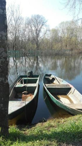 Apartment Helena Airport - image 11