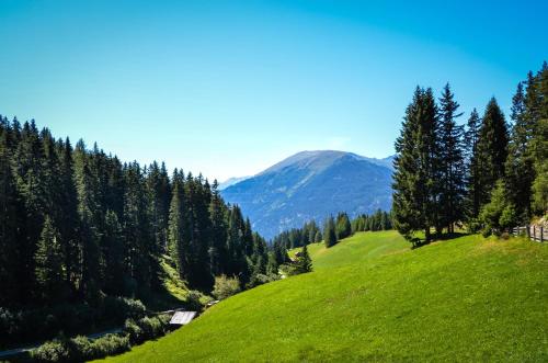 Haus Hochzeigerblick - image 6