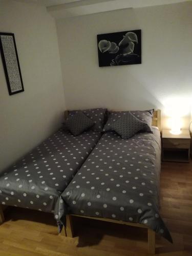 Guest House Kvartin 4