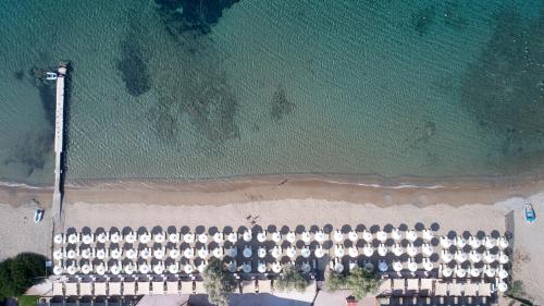Aegeon Beach Hotel - image 4