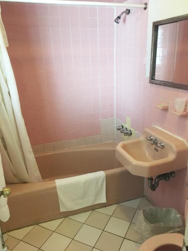 Village Motel - image 4