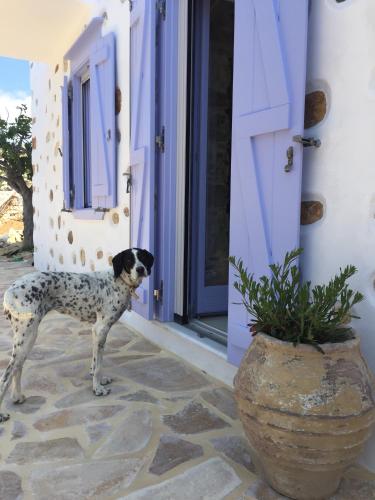 Good Life Greece Eco Villas - image 6