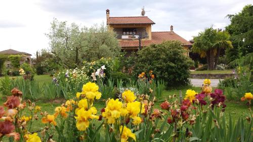  Villa Iriscortona in Cortona
