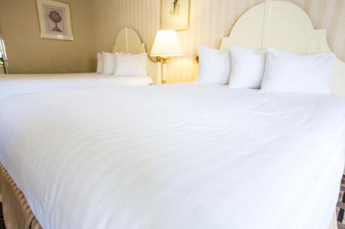 Anaheim Carriage Inn in Anaheim, USA