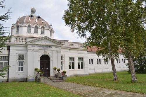 Apkārtne, Apartment Kraljica in Banja Koviljaca