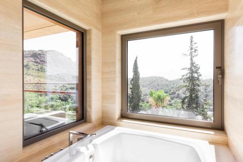 D Maris Bay - image 6