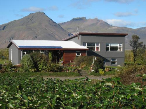 Dilksnes Guesthouse - image 9