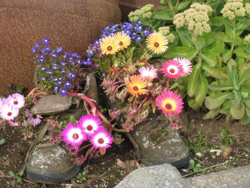 Dilksnes Guesthouse - image 10