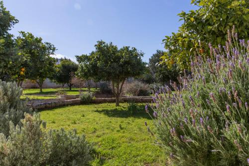136372647 Masseria San Giovanni - Epoca Collection