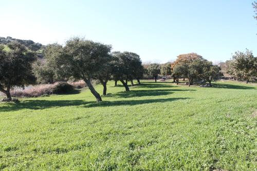 Agriturismo Su Recreu