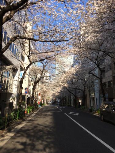 ベルケンホテル東京