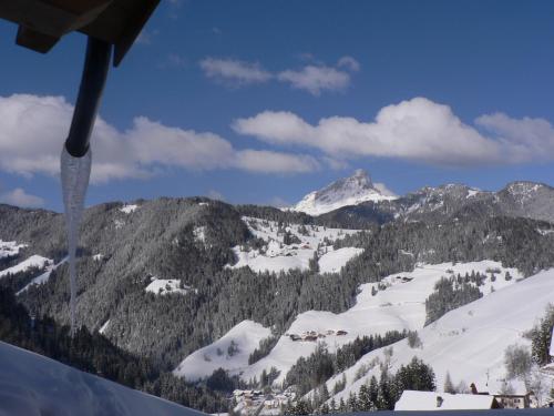 Hotel Alpenrose - image 6