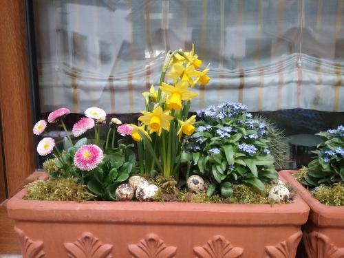 Haus am Kastanienwald - Bad Bergzabern