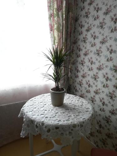 vekhyttegarden