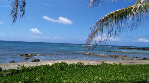 Corn Island Hostal ALAL SUITE in Little Corn Island