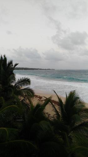 Corn Island Hostal ALAL SUITE in Little Corn Island