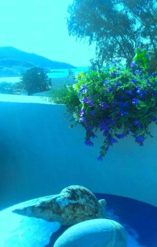 Angeliki Pension - image 4