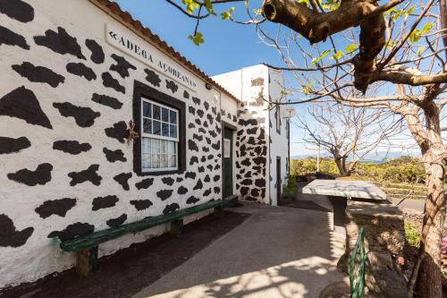  Adega Açoreana in 9940-154 Santo Amaro