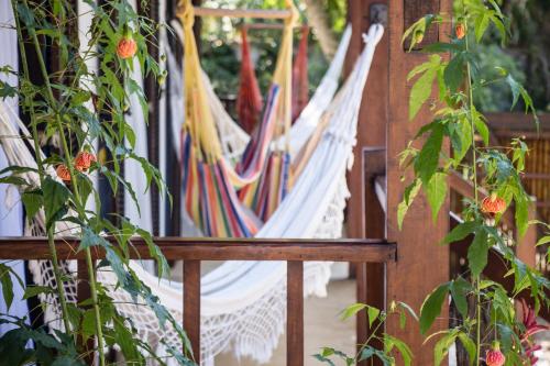 Planeta Banana Paraty - Paraty