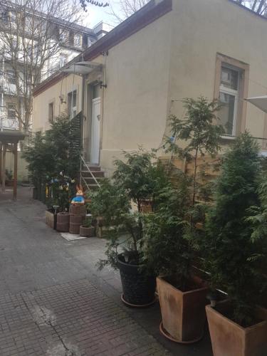 Max's Hinterhaus, Drážďany (fotografie 10)