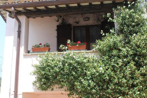  casa vacanze il gelsomino in Nocera Umbra