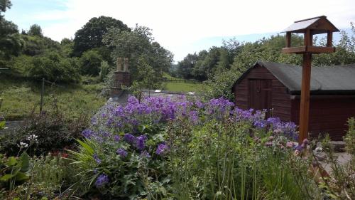 Hillside Cottage