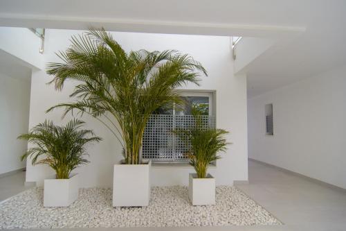 Belaire 4 bedroom apartment - image 7