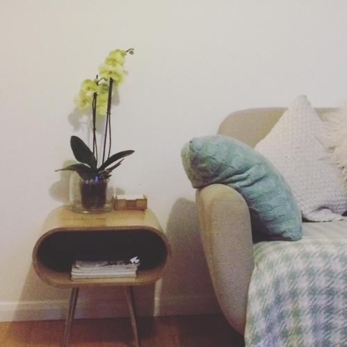 Hillside Cottage photo 4